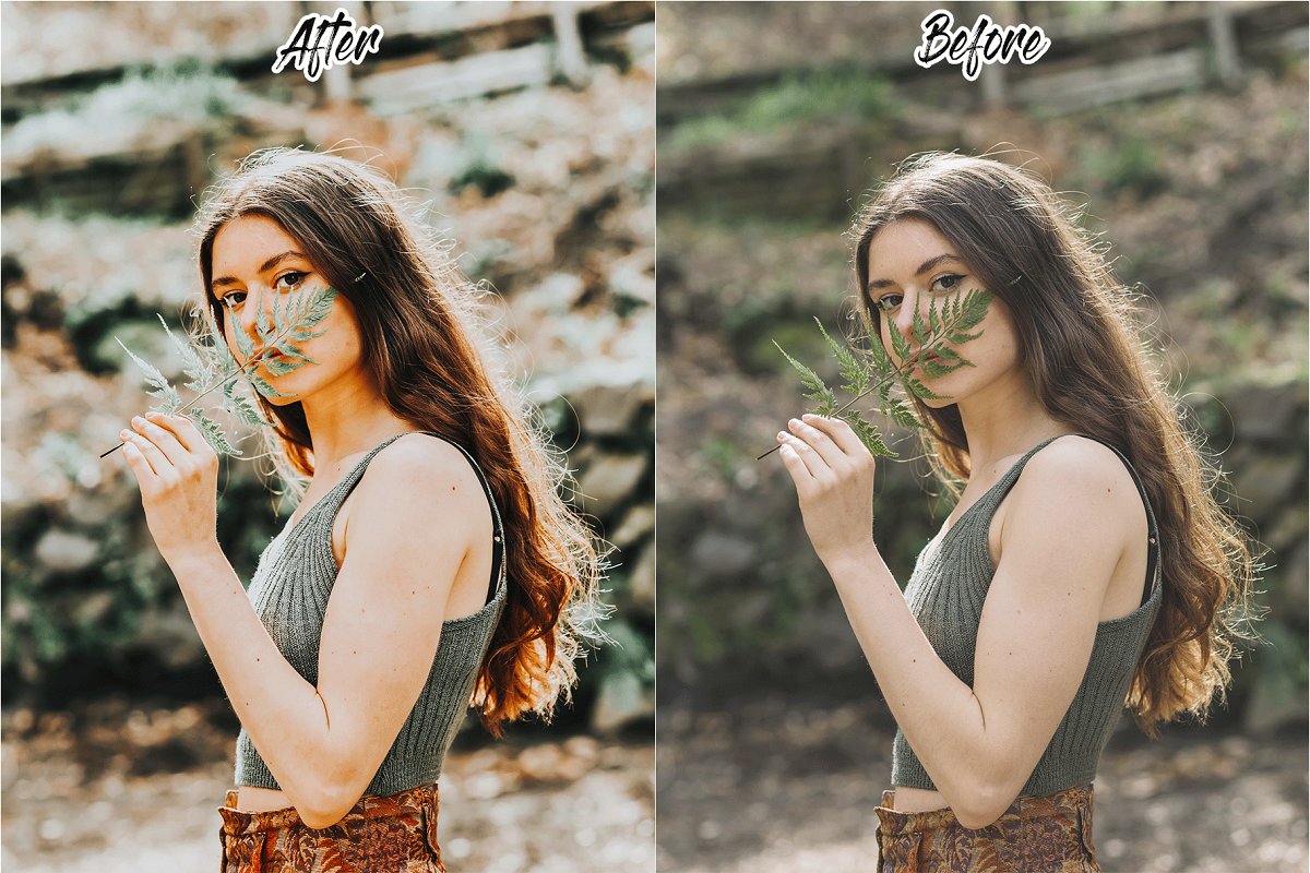 THE AUTUMN LIGHTROOM PRESETS 4438933