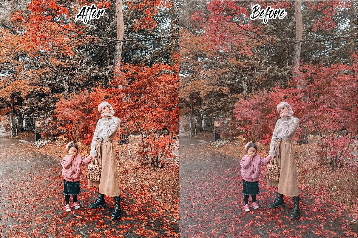 TRAVEL INFLUENCER LIGHTROOM PRESETS 4433261