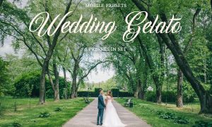 Wedding Gelato Mobile Presets 4423386