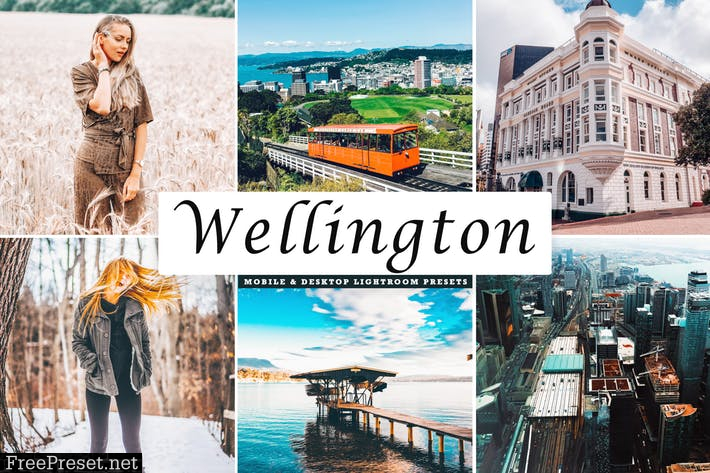 Wellington Mobile & Desktop Lightroom Presets