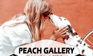 10 Peach Gallery Photoshop Actions