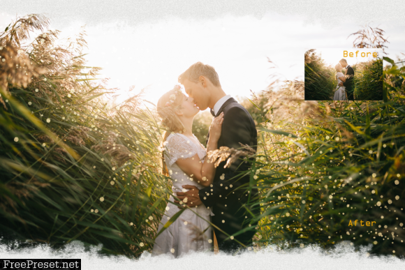 100 Wedding Sparklers Photoshop Overlays