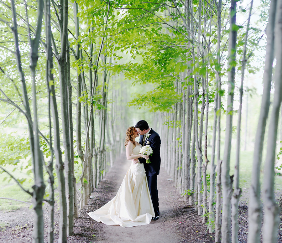 Wedding photography - Along the Path by Ryan Brenizer on 500px.com