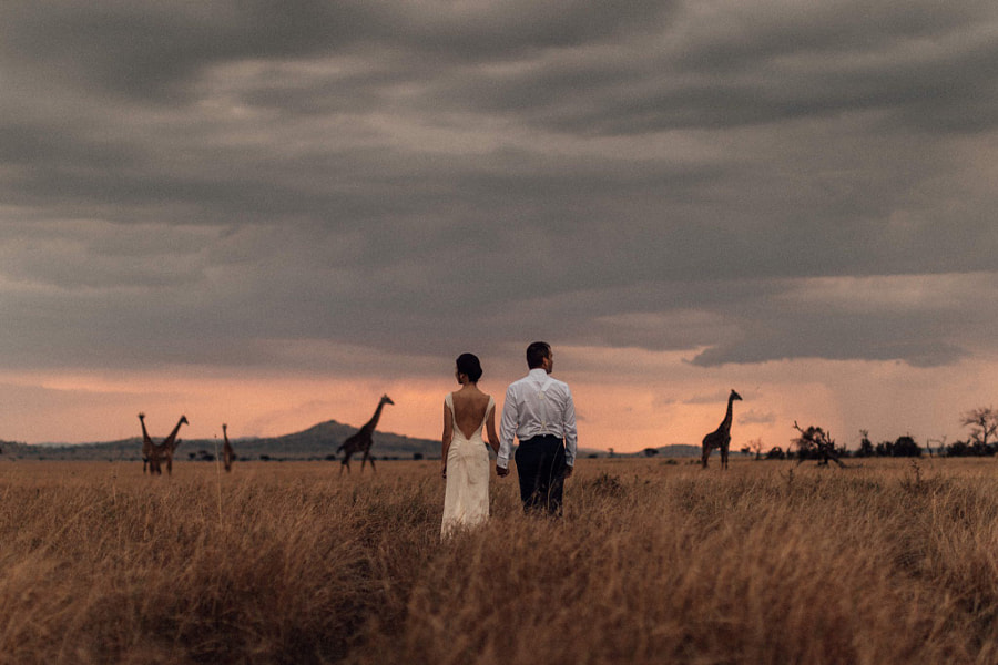 Wedding photography - The Plains by Melli & Shayne  on 500px.com