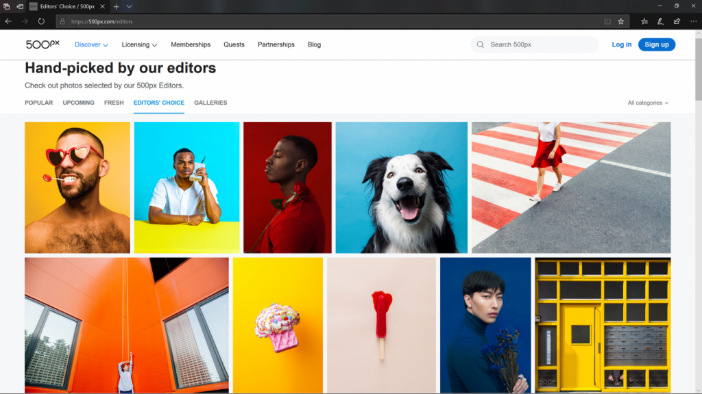 A screenshot of the 500px home page