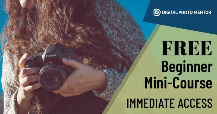 photography basics course for beginners