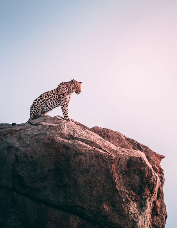 Kruger National Park