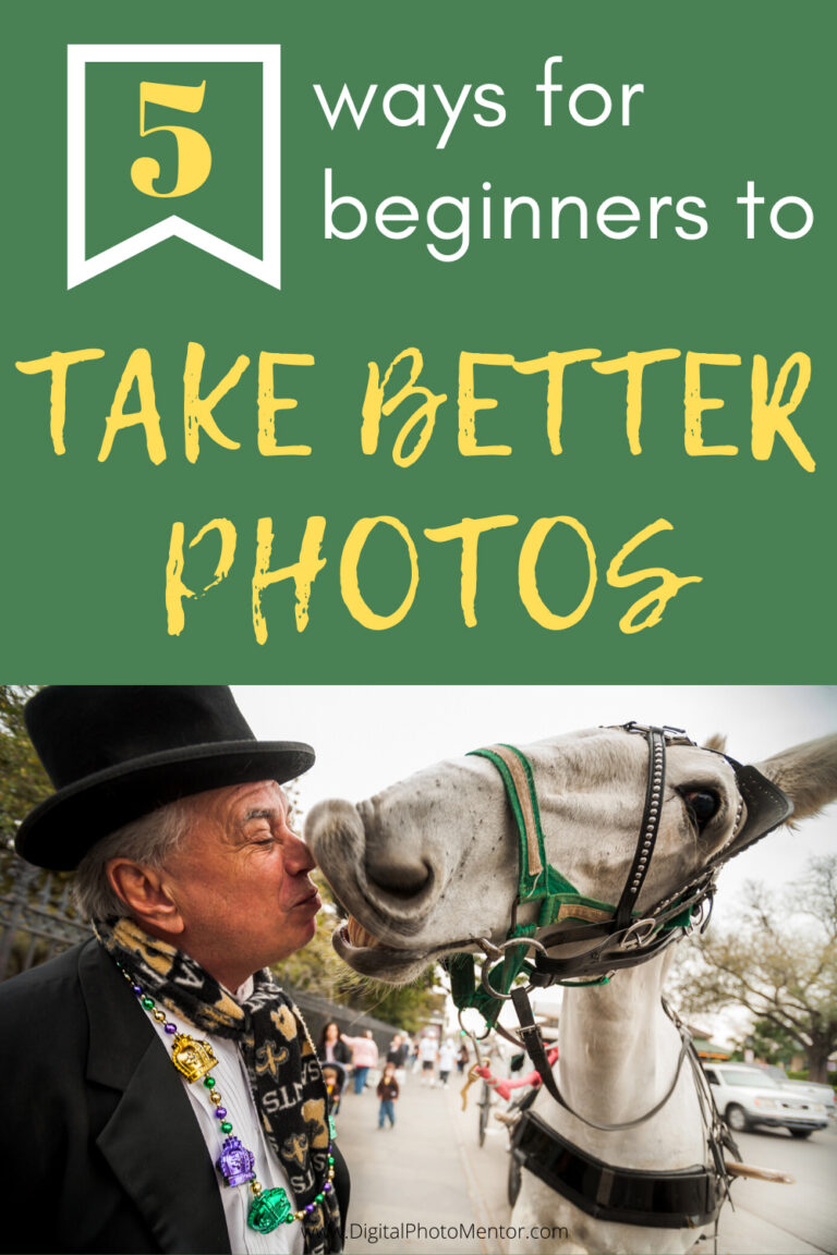 beginner photography tips for how to take better photos