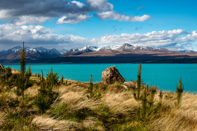 Lake Pukaki in New Zealand with stunning mountains pictured in the distance