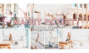 83. Maisey Pickett Presets 4521113