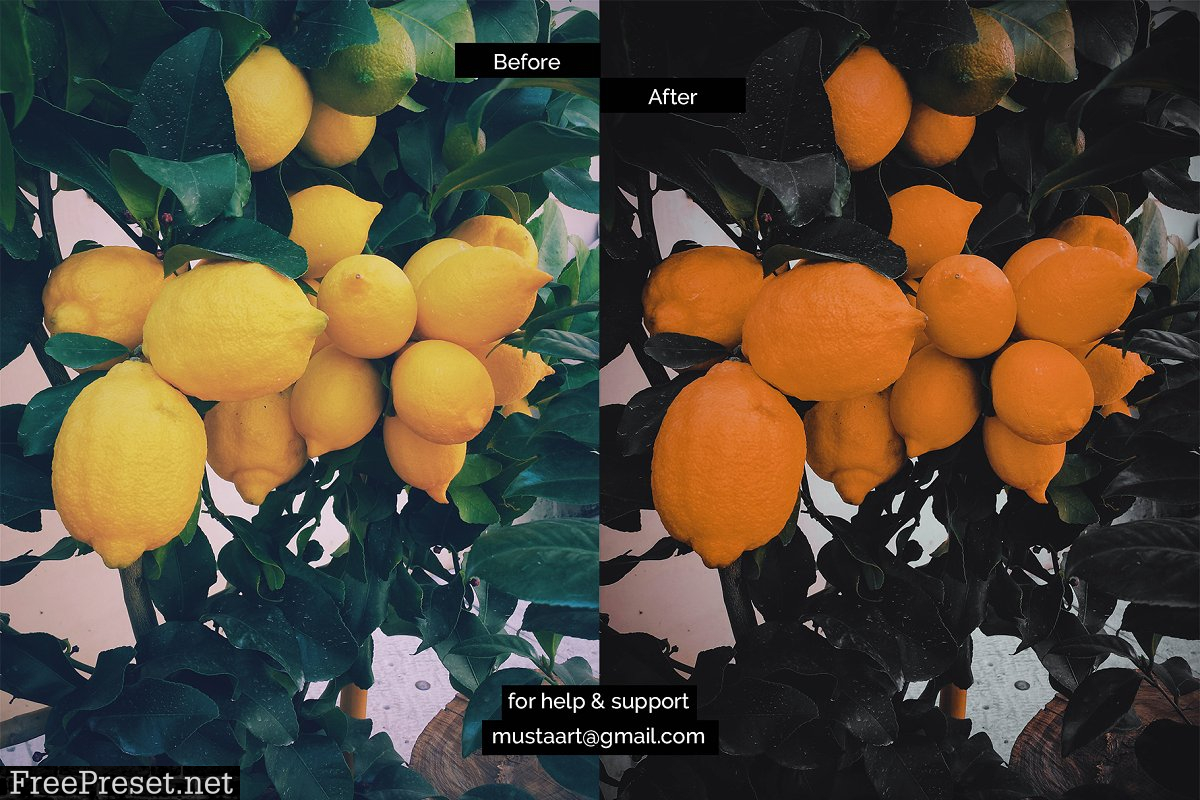 Black x Orange - Urban CR Filter 4492472