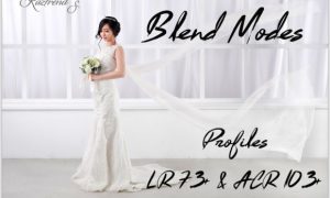 Blend Modes Profiles LR7.3 ACR10.3