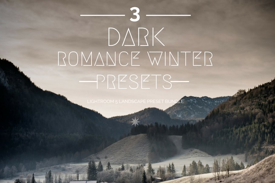 Dark Winter 3 LR Preset Bundle 178740