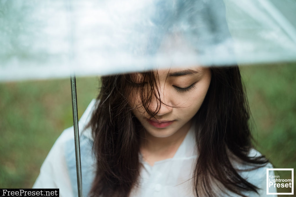 Kamin Rainy Day Lightroom Presets