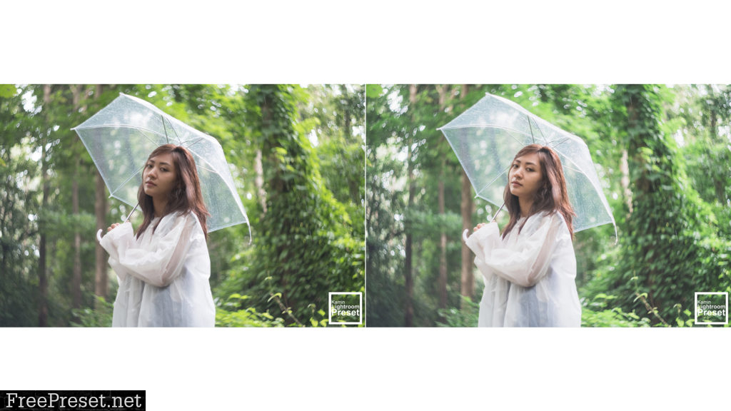 Kamin Rainy Day Lightroom Presets