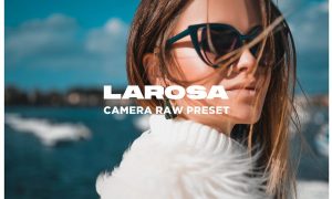 Larosa - Camera Raw Preset 4483323
