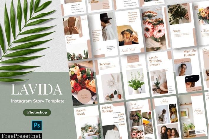 Lavida - Minimalism Instagram Story Template  LKYRWM4