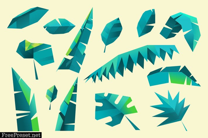 Leaf and foliage polygon collection 474DH8P