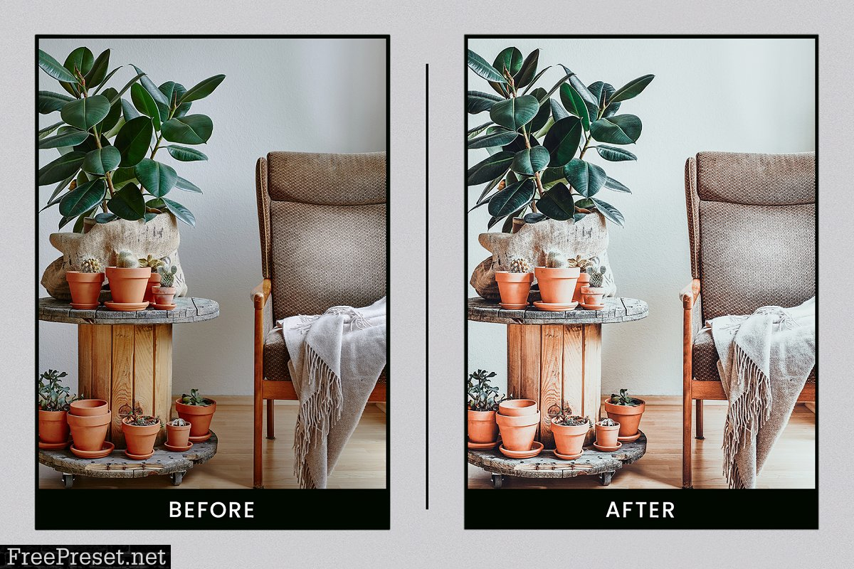 Lightroom Presets Botanical Colors 4410278