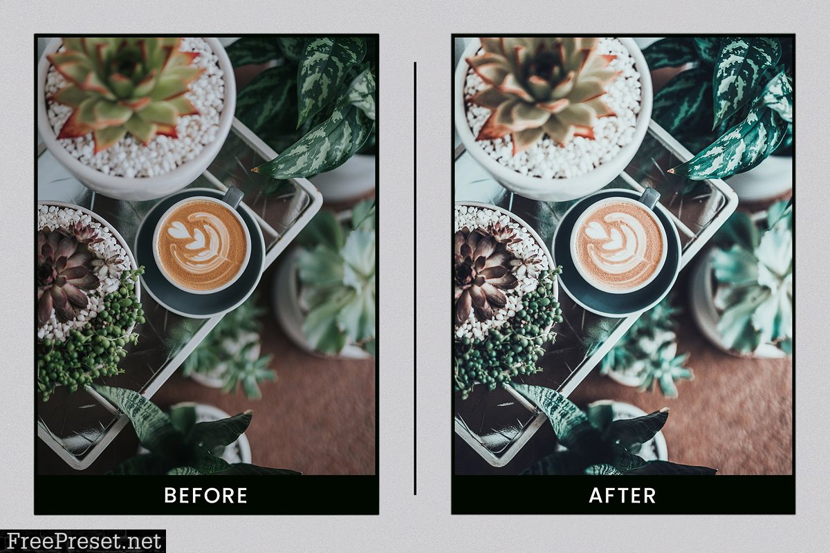 Lightroom Presets Botanical Colors 4410278