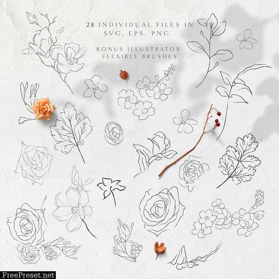 Line Drawing Botanicals, Plants, Florals 2VBNWNN