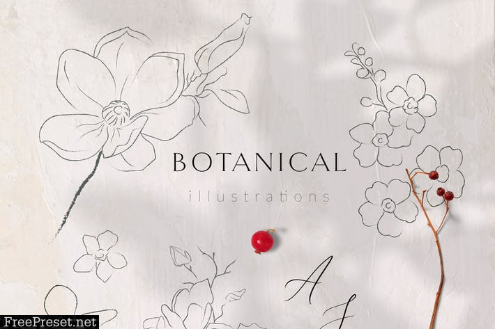 Line Drawing Botanicals, Plants, Florals 2VBNWNN