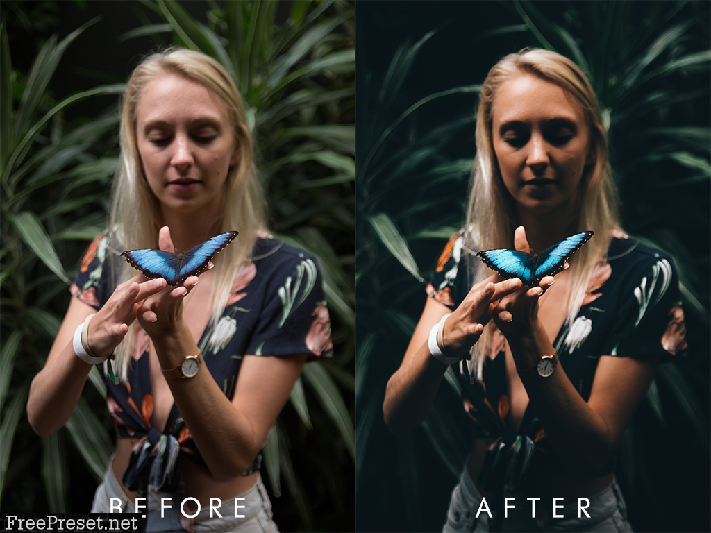 Moliverallen - Tropics Preset Pack - Morgan Oliver Allen