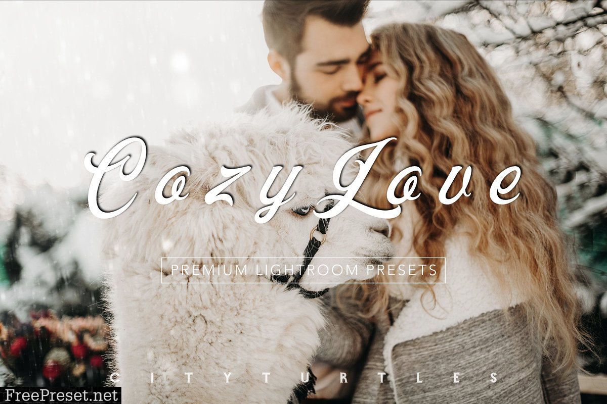 Moody COZY LOVE Lightroom Presets 4332433