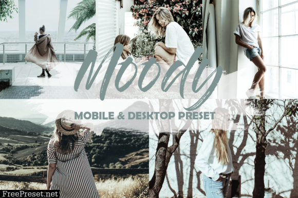 Moody Mobile Lightroom Presets