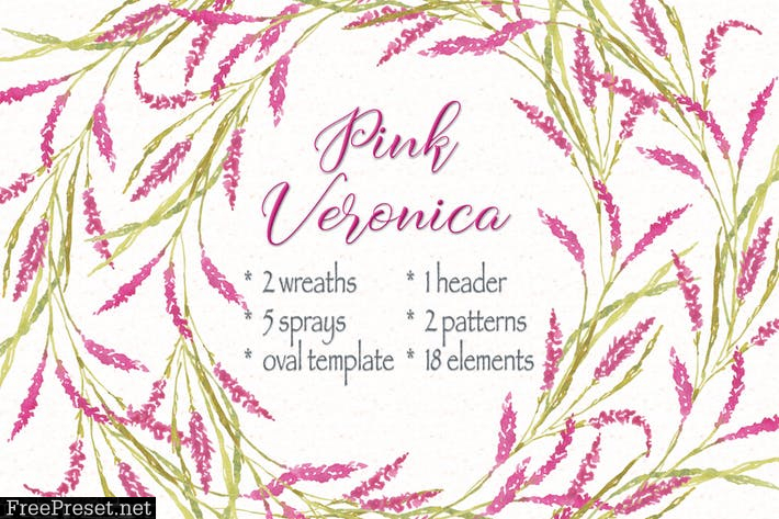 Pink Veronica Watercolor Clip Art Bundle MCHDUDN