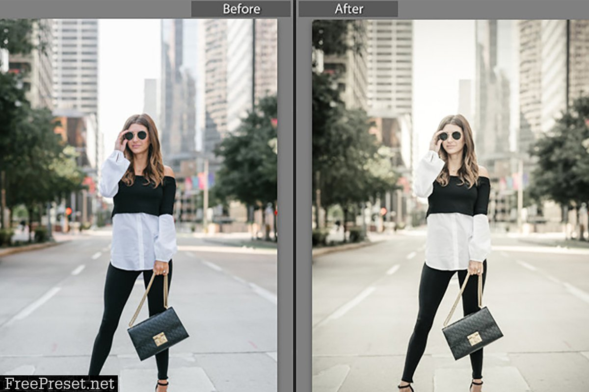 Professional blogger mobil Lightroom 4532508