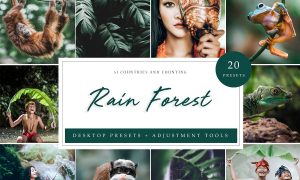 Rain Forest // Desktop Presets 4594872