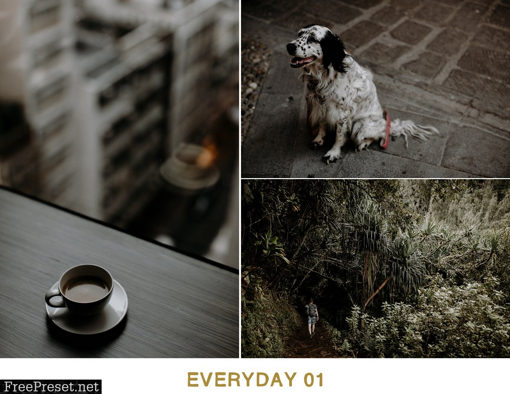 Vivid Presets - Everyday Prresets Collection