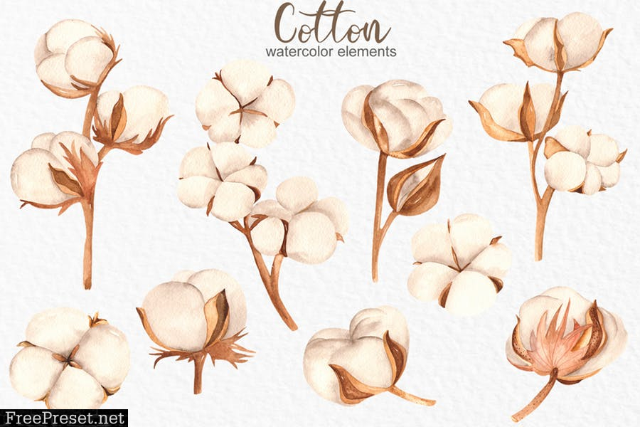 Watercolor cotton. Clipart, frames, wreaths GAXTLPR