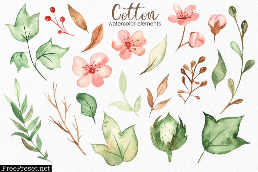 Watercolor cotton. Clipart, frames, wreaths GAXTLPR