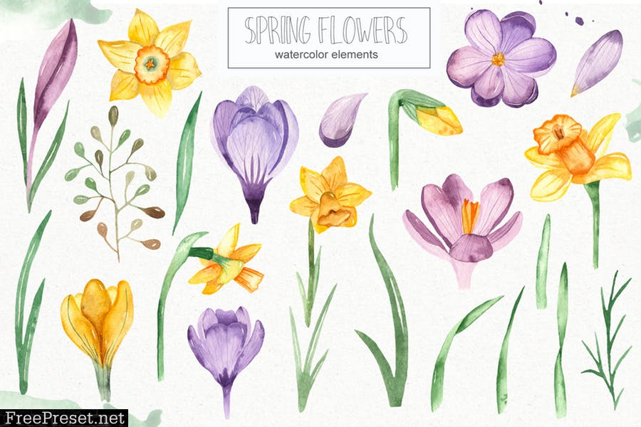 Watercolor spring flowers collection VVD2WC6