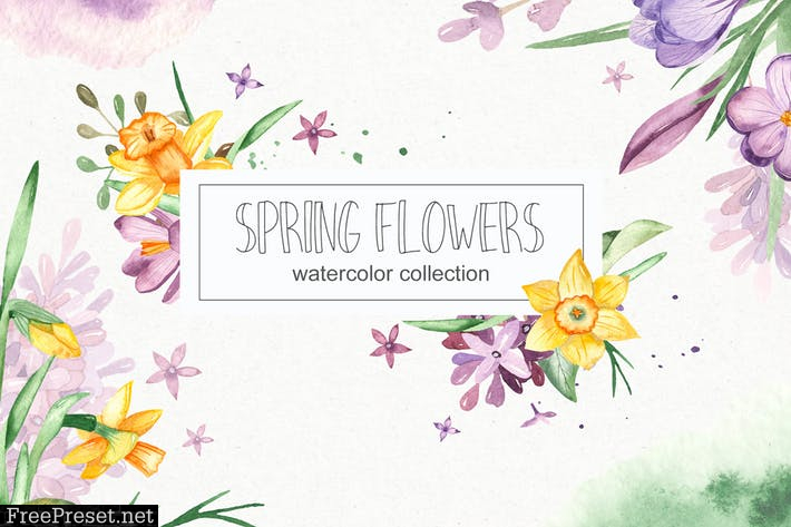 Watercolor spring flowers collection VVD2WC6