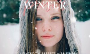 Winter Lightroom presets + Brushes