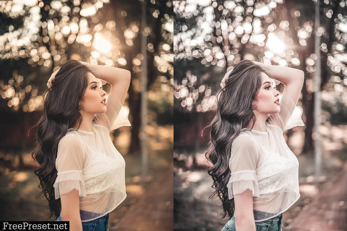 10 Lightroom CC Presets - Gold 4558129