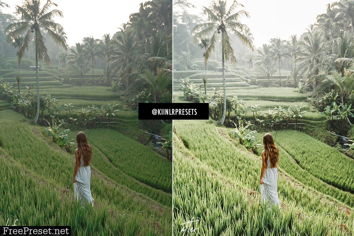 10 MATCHA GREEN LIGHTROOM PRESETS 4609006