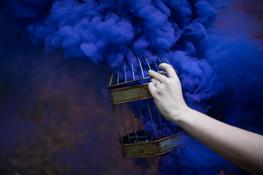 Smoking Birdcage by PJ Accetturo on 500px.com