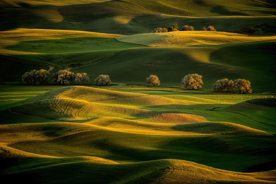 Sunrise On Steptoe Butte by Matt Kloskowski on 500px.com