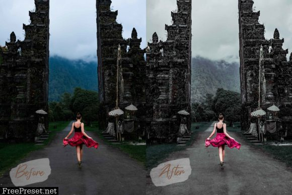 6 Desktop Lightroom Presets and ACR Bali