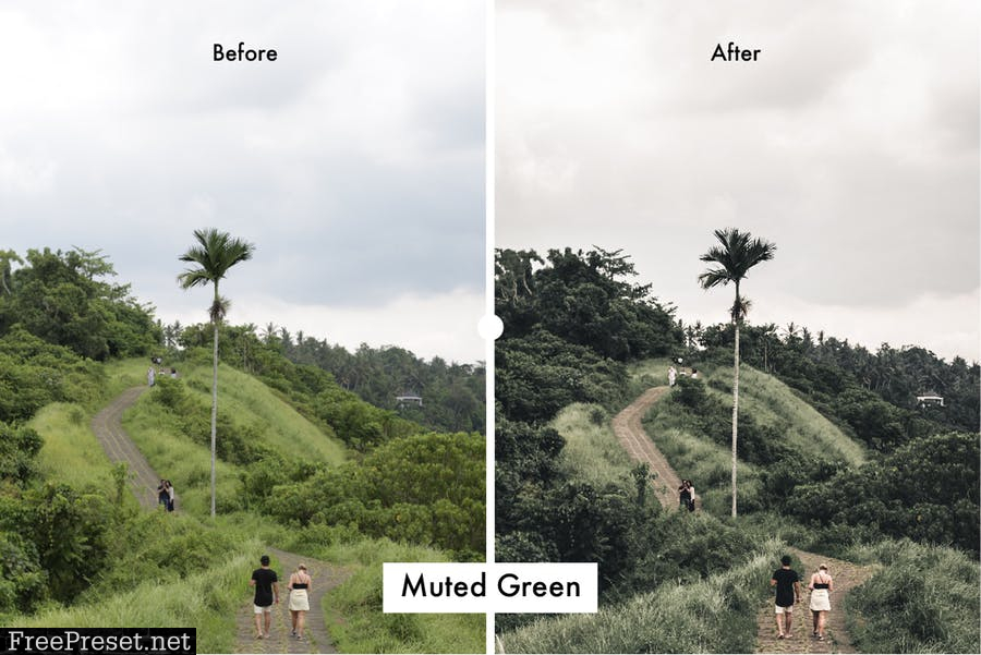 6 Nature Lightroom Preset