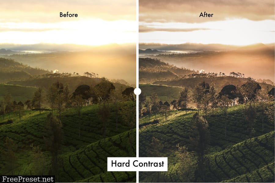 6 Nature Lightroom Preset