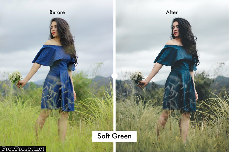 6 Nature Lightroom Preset