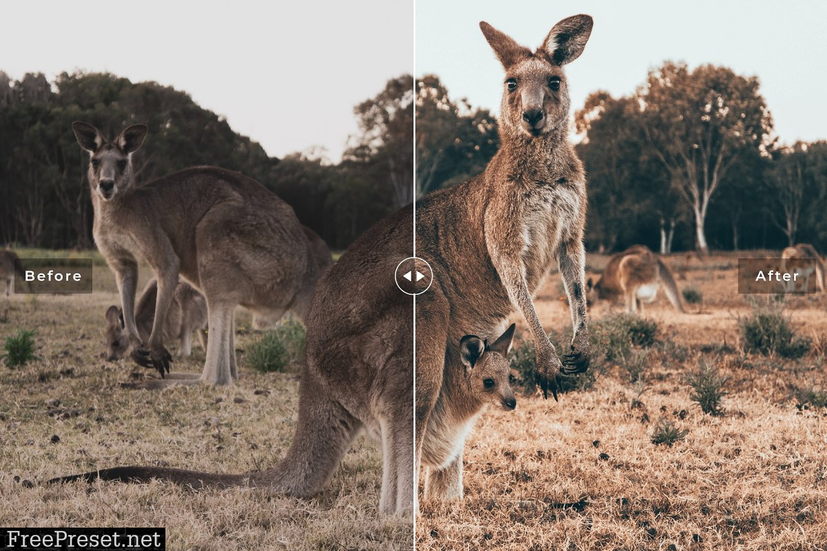 Australia Lightroom Presets Pack 3628291