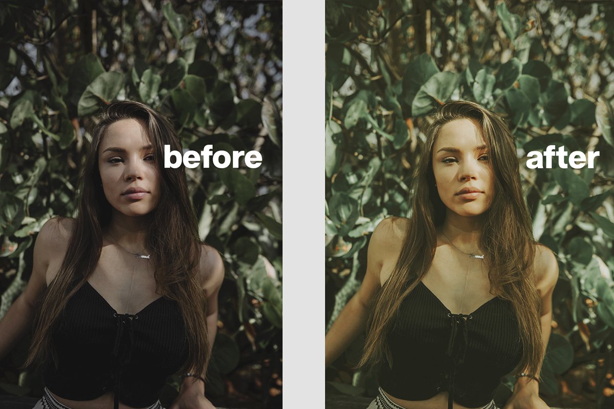 AVOCADO Lightroom Presets 4619013