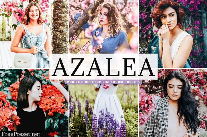 Azalea Mobile & Desktop Lightroom Presets