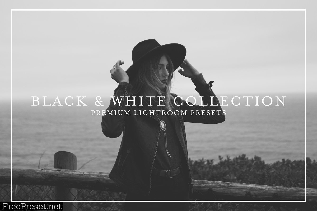 Black & White Lightroom Presets 4475250